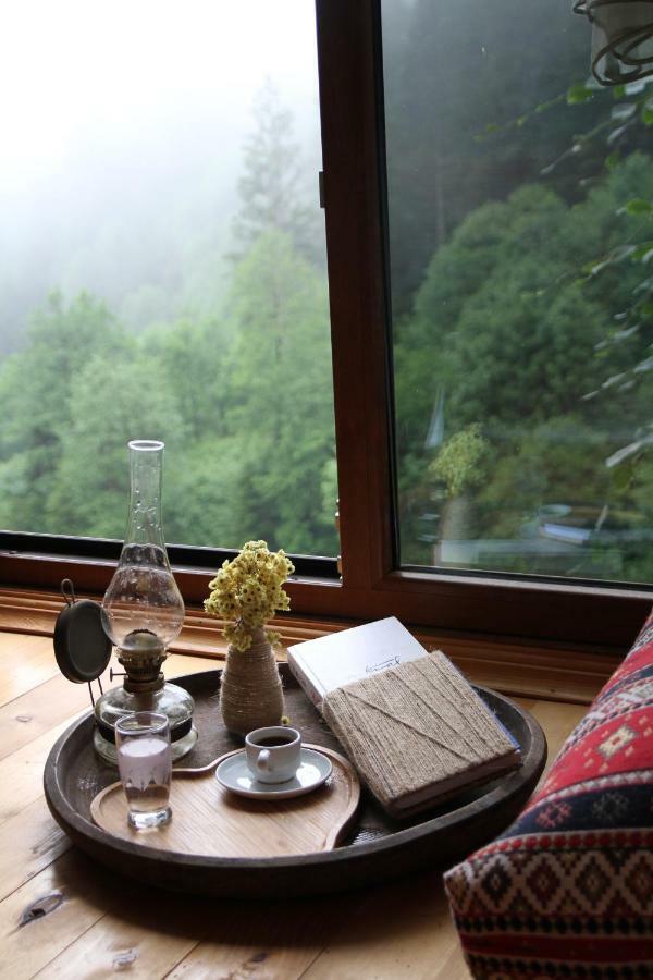 Ayder İmamoğlu Apart Otel Dış mekan fotoğraf