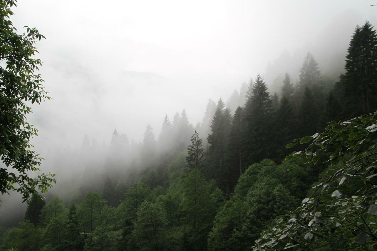 Ayder İmamoğlu Apart Otel Dış mekan fotoğraf
